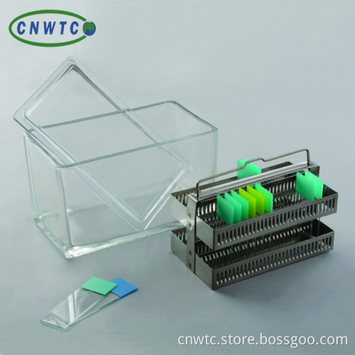 30pcs Slide Staining Rack - Get Yours Now!